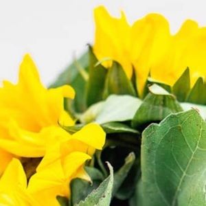 Meet your Posher, Tarisa